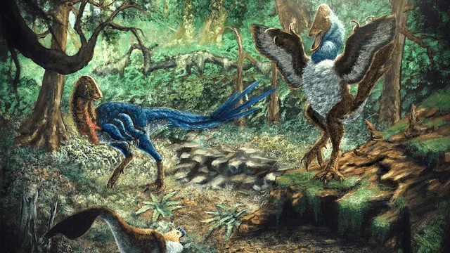 An artist reconstruction comparing caenagnathid dinosaurs